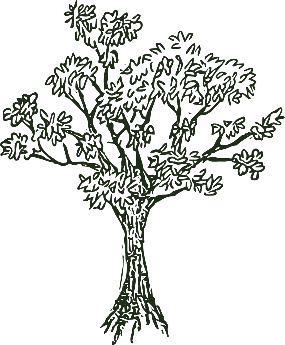 Lhle Tree@2x - Lost Hill Lake Events (1000x1210), Png Download