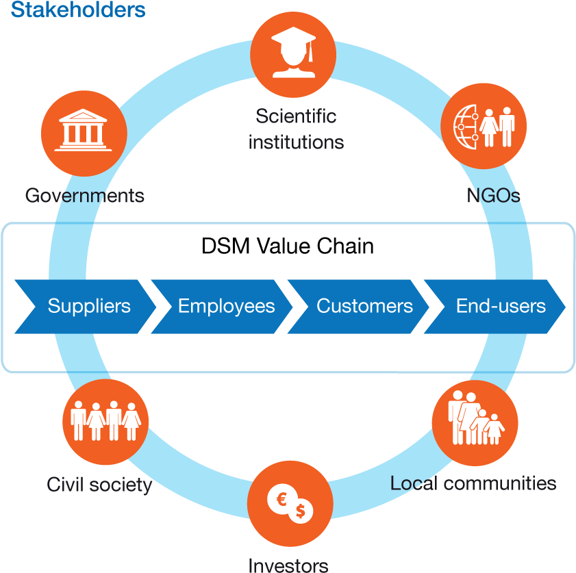 Dsm Engages With Ngos And Other Organizations To Work - Dsm Value Chain (844x859), Png Download