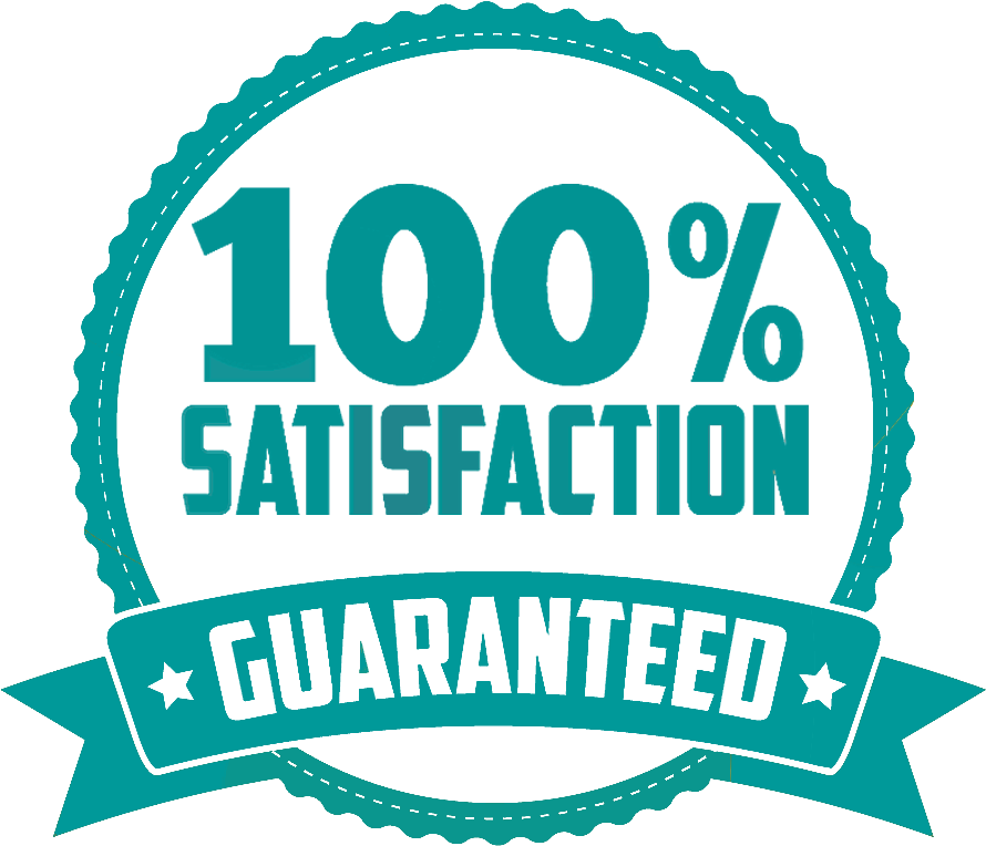 100 Satisfaction Guarantee - Professional 18-piece Cake Decorating Tip Set (992x871), Png Download