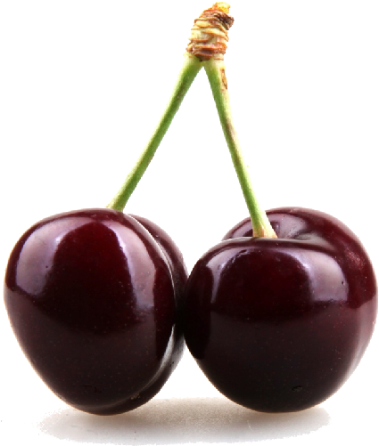 Cherries W Leaf - Black Cherry Png (500x500), Png Download
