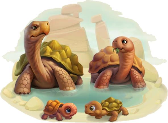 Giant Tortoise Family - Cake Decorating (591x432), Png Download