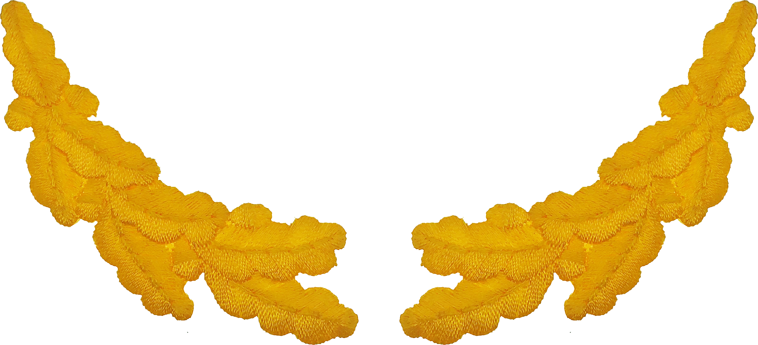 Command Staff Scrambled Eggs / Oak Leaf Cap Braid Patches - Orange (2500x1139), Png Download