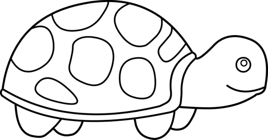 28 Collection Of Tortoise Clipart Outline - Turtle Clipart Black And White (550x288), Png Download