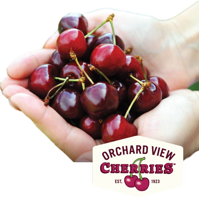 Fresh Cherry Recipes - Cherry (651x731), Png Download