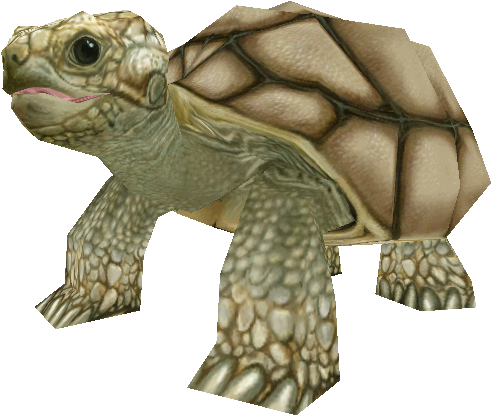 Download Zip Archive - Galápagos Tortoise (750x650), Png Download