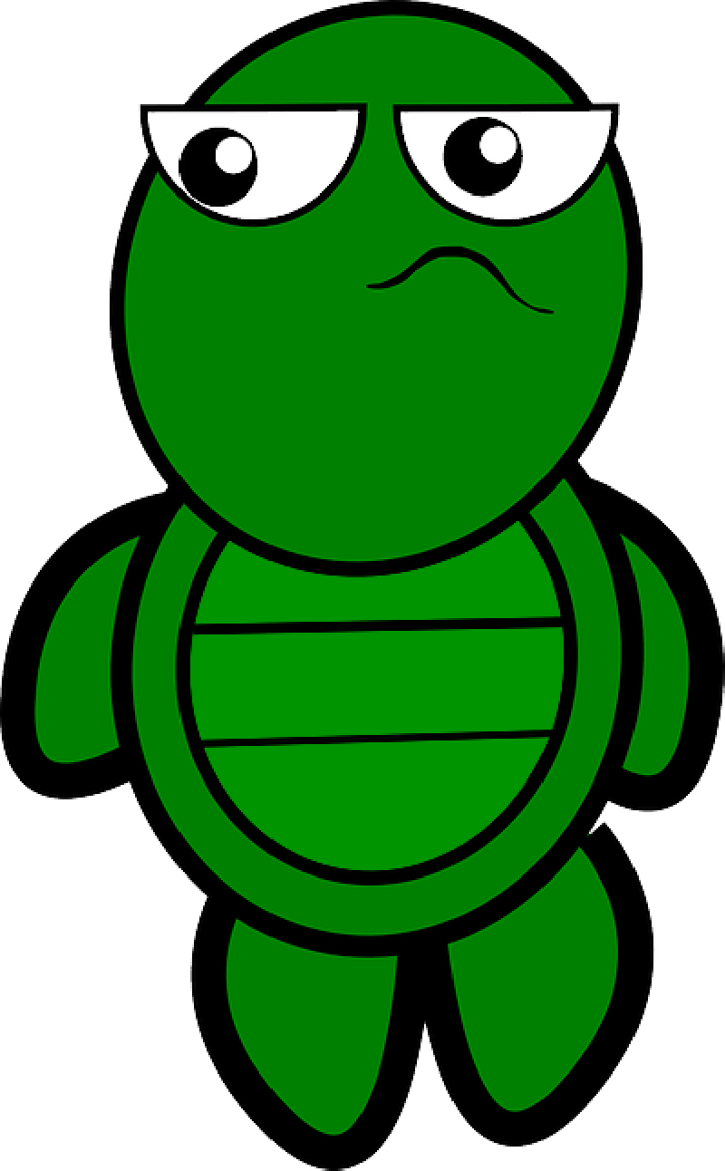 Mb Image/png - Cartoon Turtle (800x1292), Png Download