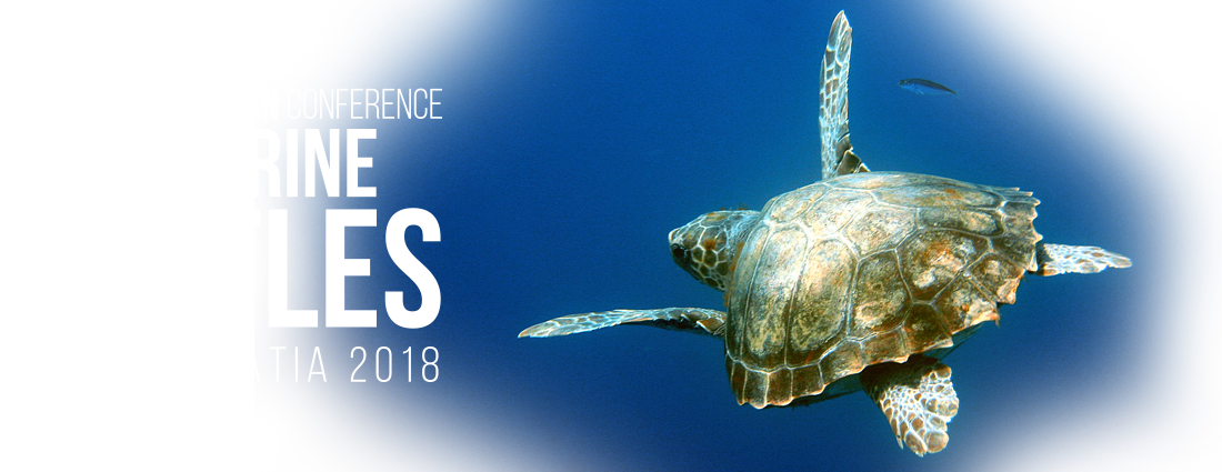 Welcome To The Web Page Of The 6th Mediterranean Conference - Turtle (1100x425), Png Download