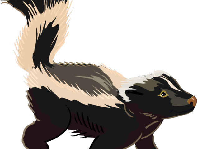 Library Free On Dumielauxepices Net Realistic - Skunk Clip Art (640x480), Png Download