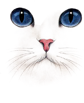 White Cat Research Artist ♥♥ - Rosto De Gato Png (317x400), Png Download