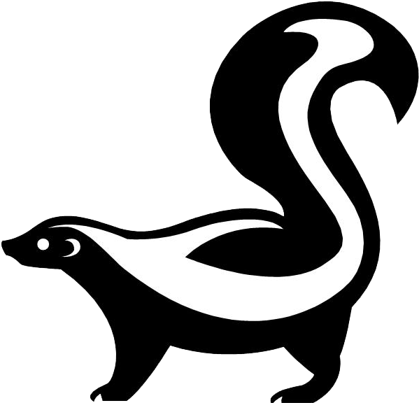 Skunk Drawing - Google Search - Skunk Drawing (619x600), Png Download