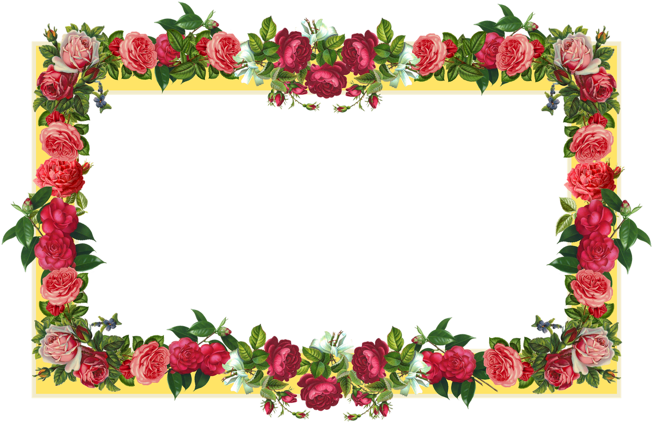 Rose Flower Border Design Frame - Border Design Flower Rose (1334x900), Png Download