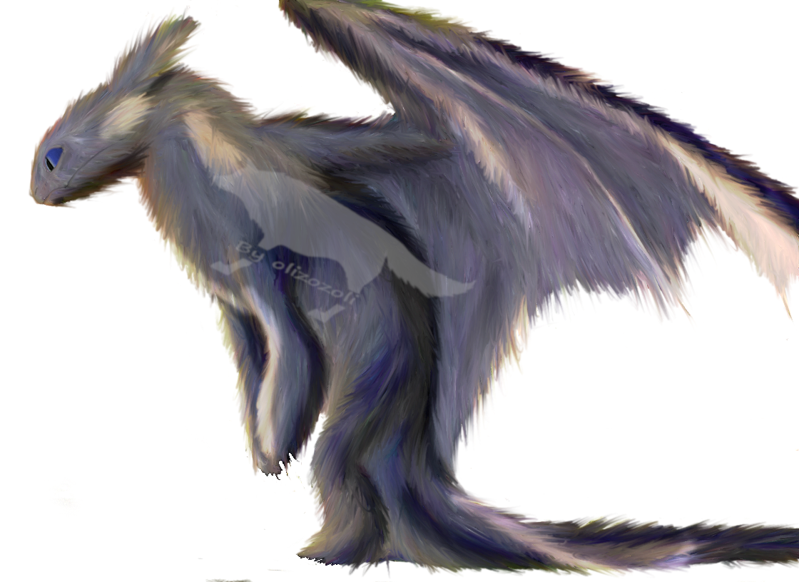 Photograph (1120x816), Png Download