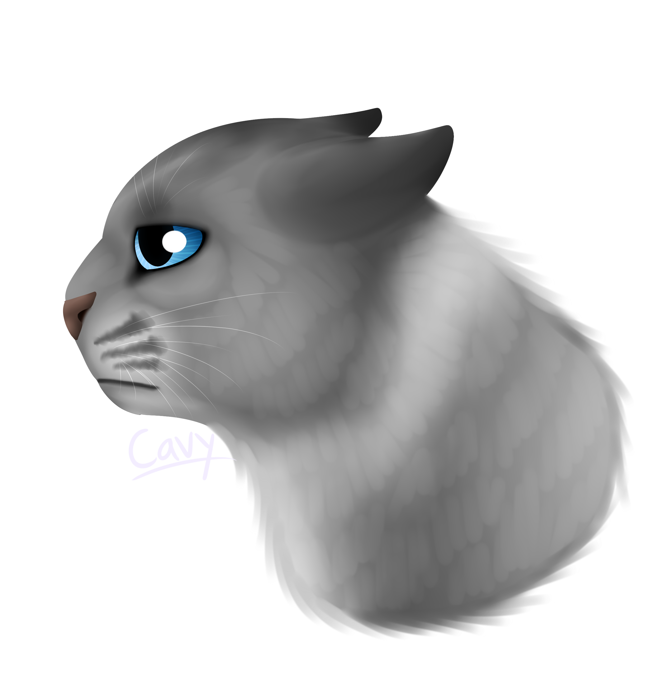 Generic Sad Cat - Cat (2500x2700), Png Download