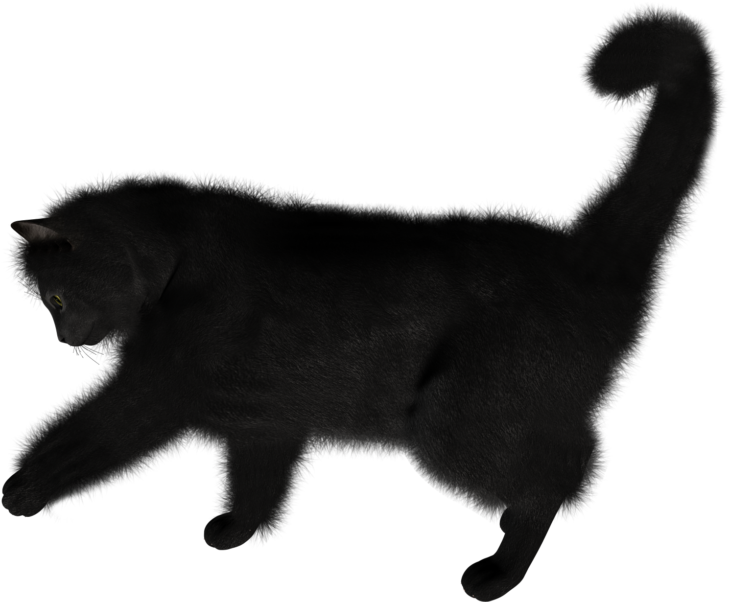 Cat Tail Png Transparent (1490x1520), Png Download