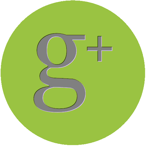 Gray Google Plus Logo With Green Background - Inside Icon Png (474x473), Png Download