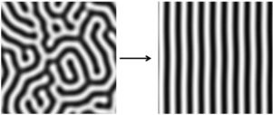 Why Do Tigers Have Vertical Stripes Check The Math, - Line Art (300x200), Png Download