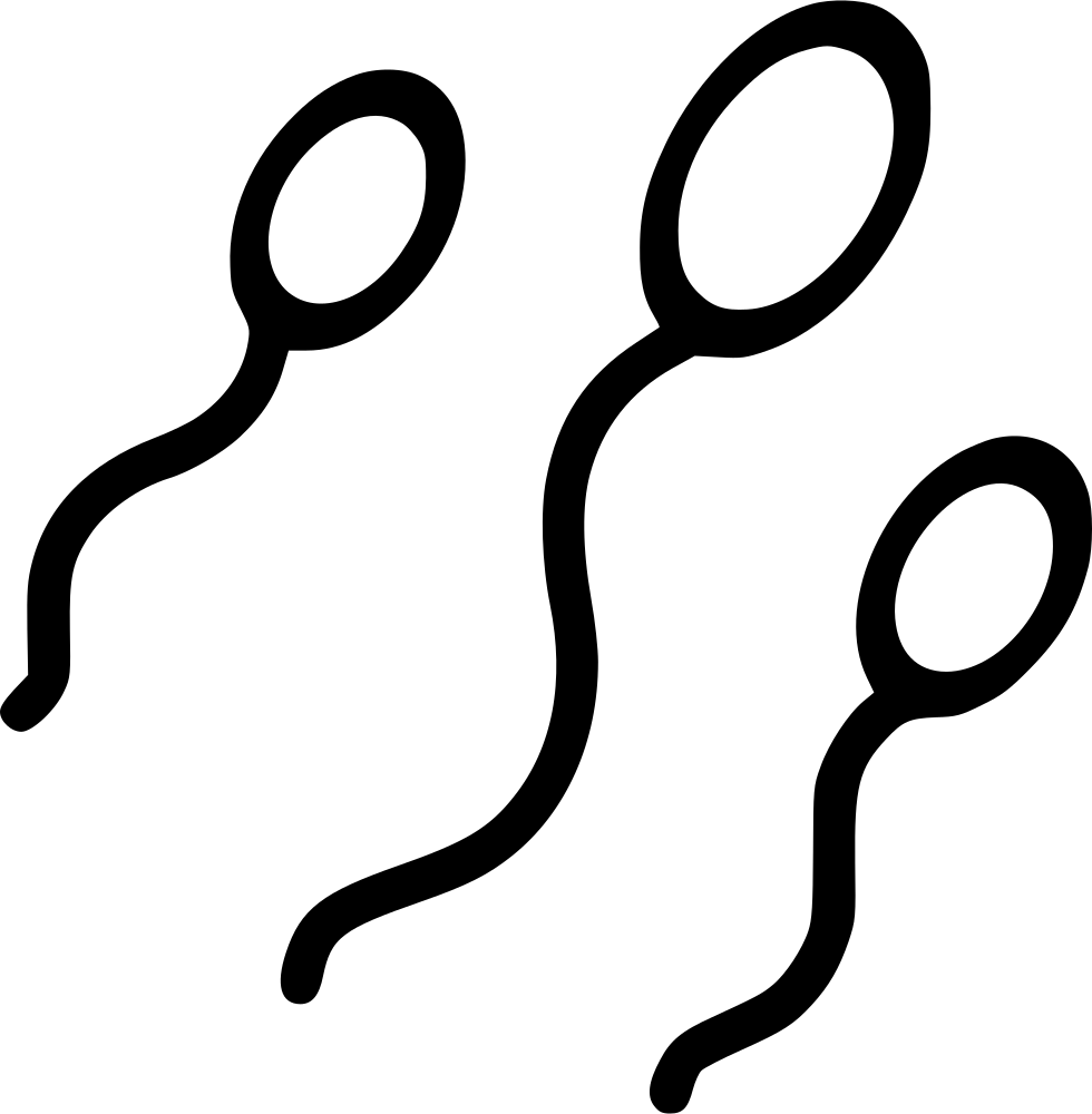 Png File - Sperm (980x1000), Png Download