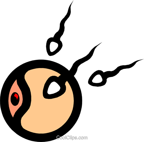 Symbol Of Sperm & Egg Royalty Free Vector Clip Art - Sperm Clipart (480x474), Png Download