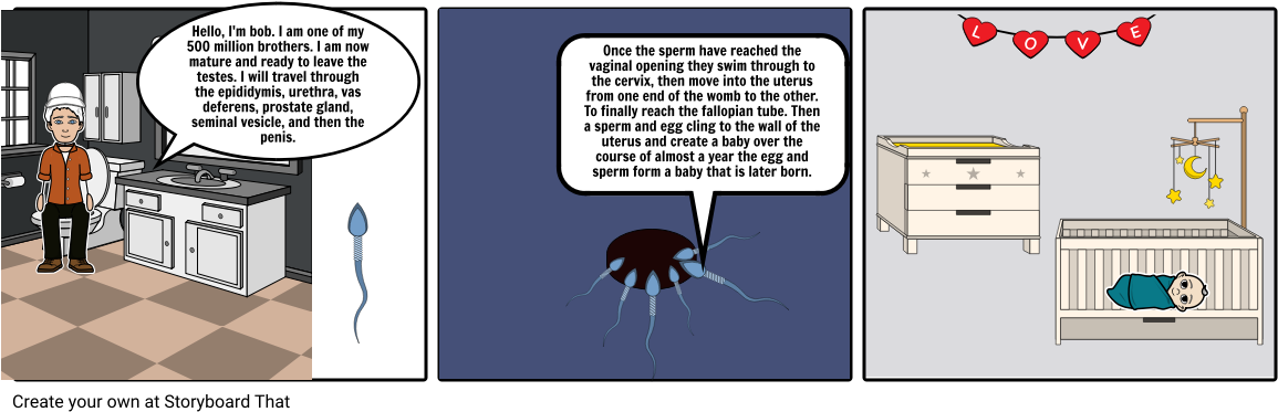 Life Of A Sperm - Cartoon (1164x385), Png Download