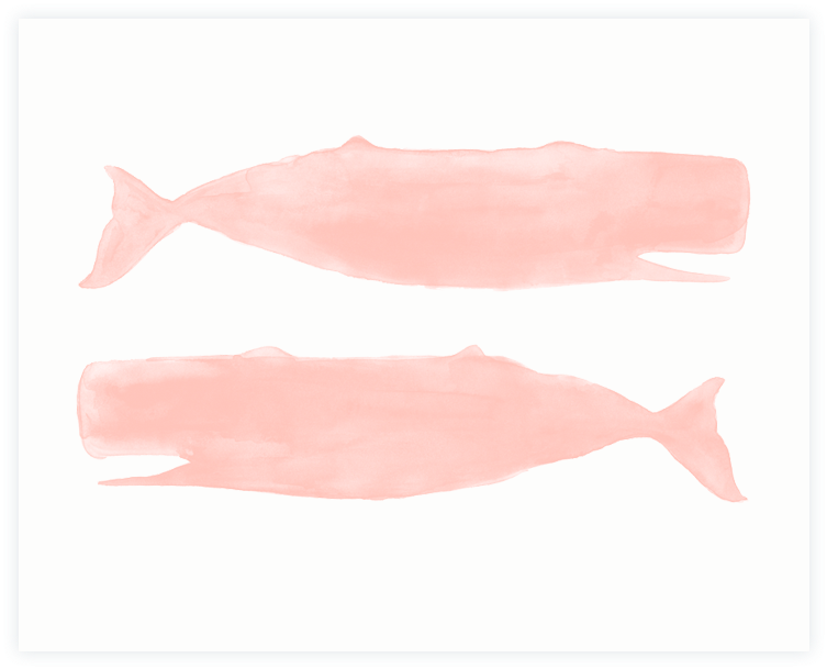 This Delightful Print Is A Reproduction Of My Original - Sole (864x720), Png Download