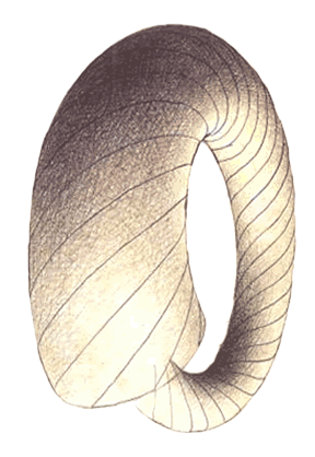 By Dean Brown And Wenden Wiegard - Law (288x418), Png Download