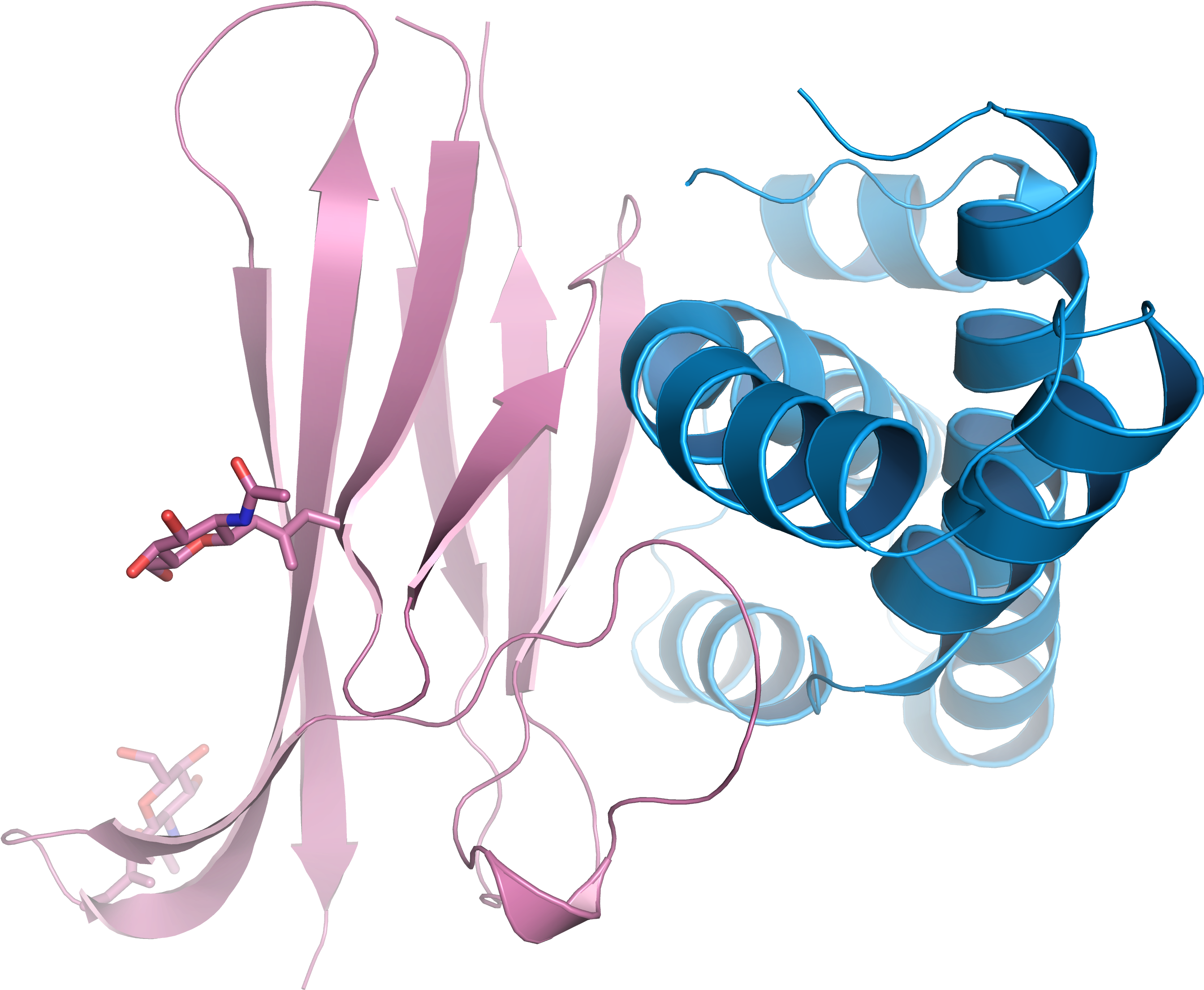Crystal Structure Of The Complex Between A Domain Repeat - Karolinska Institutet Clintec (2835x2362), Png Download