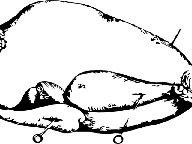Drawn Turkey Transparent - Roasting (640x480), Png Download