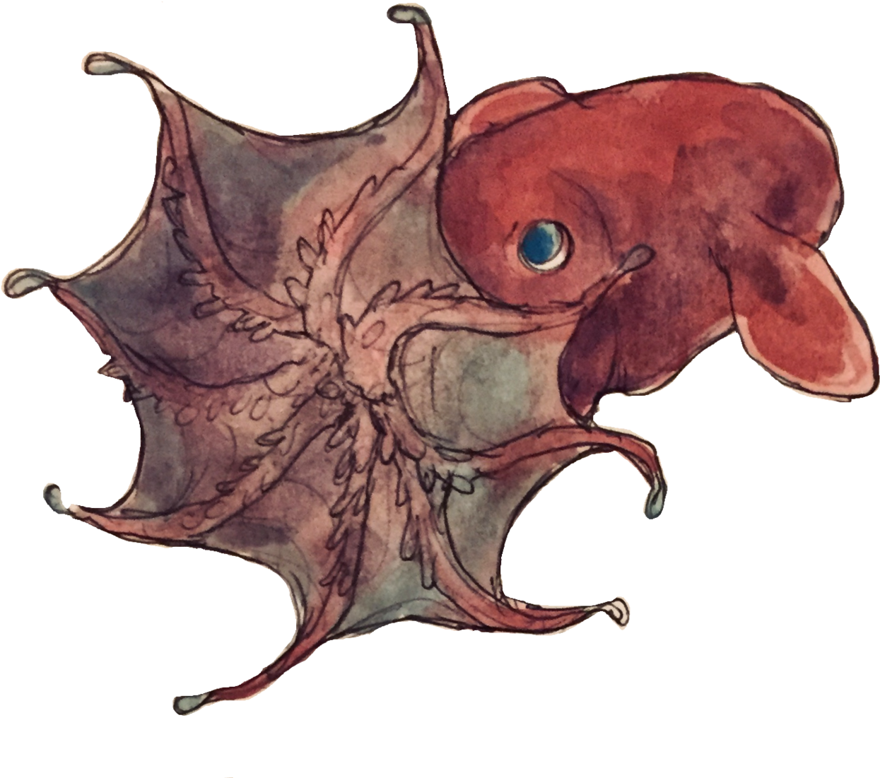 Some Transparent Deep Sea Images - Giant Pacific Octopus (1280x1280), Png Download