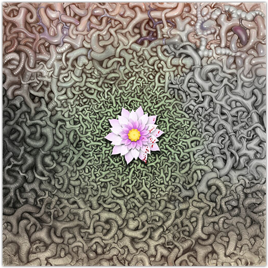 Symmetry - Gazania (560x560), Png Download