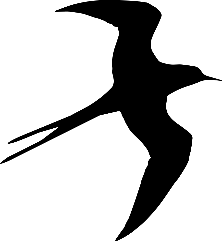 Swallow Bird Flying Silhouette - Pajaro Negro Dibujo (906x980), Png Download