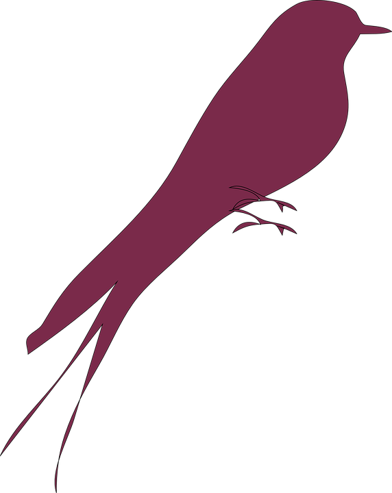 Love Birds Clipart Flying - Love Bird Silhouette Png (572x720), Png Download