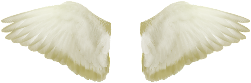 Wings, Flight, Freedom, Flying, Fly, Png - Eagle (960x639), Png Download