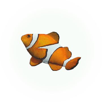 Icon, Knowledge Chance Of Obtaining - Black Desert Online (360x360), Png Download