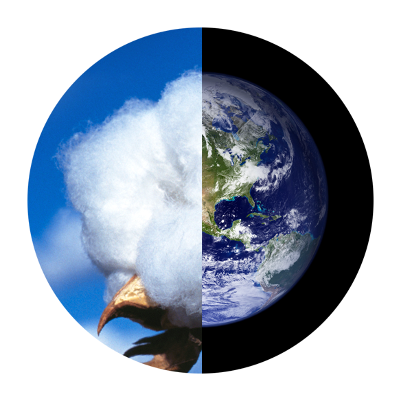 Cotton Boll And Planet Earth - Earth View From Space Poster Print By Nasa (584x584), Png Download