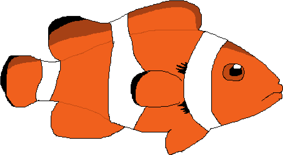 Clownfish - Coral Reef Fish (1000x1000), Png Download