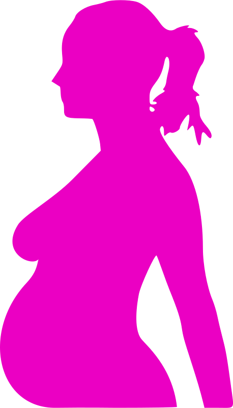 About Pregnancy Test Positive Then Negative On Earliest - Pregnant Clip Art (456x800), Png Download