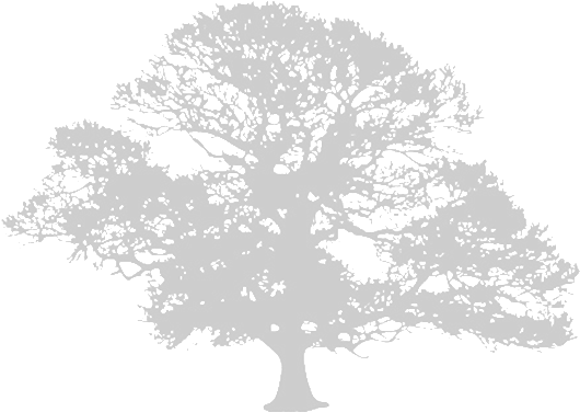 Claxton Grange - Oak Tree Silhouette Png (603x423), Png Download