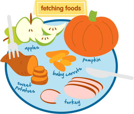 Treat Recipes For Your Dogs And Cats - Dog Food (559x478), Png Download
