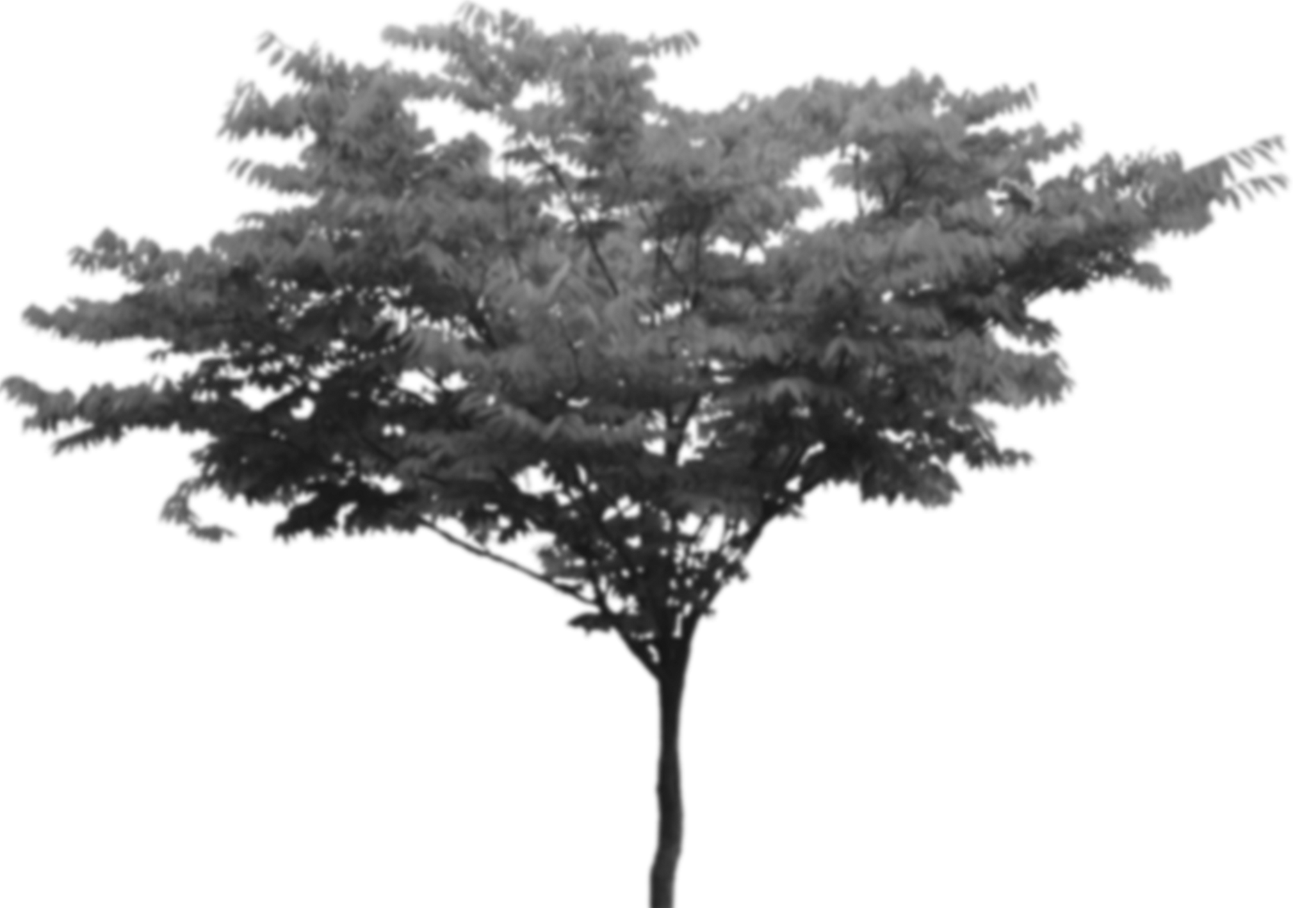 Management - Anglo-saxon Runes: An Introduction (1860x1306), Png Download