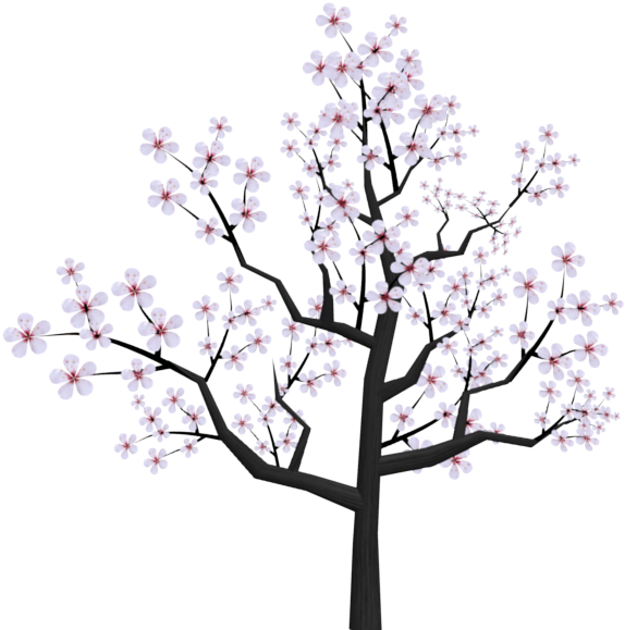 Cherry Tree Clipart Transparent - Cartoon Cherry Blossom Tree Png (800x600), Png Download