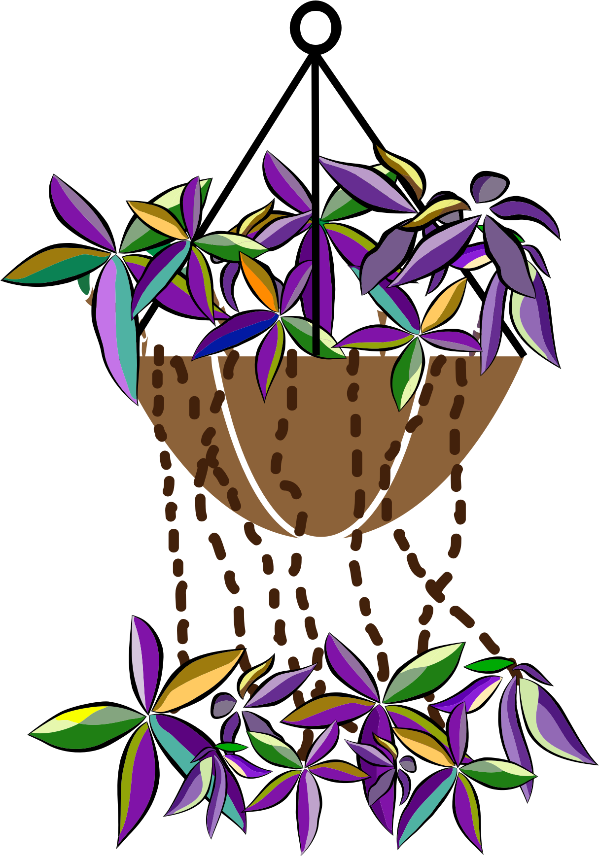 Free Photos > Public Domain Images > Bromeliads Flowers - Vector Graphics (1215x1737), Png Download