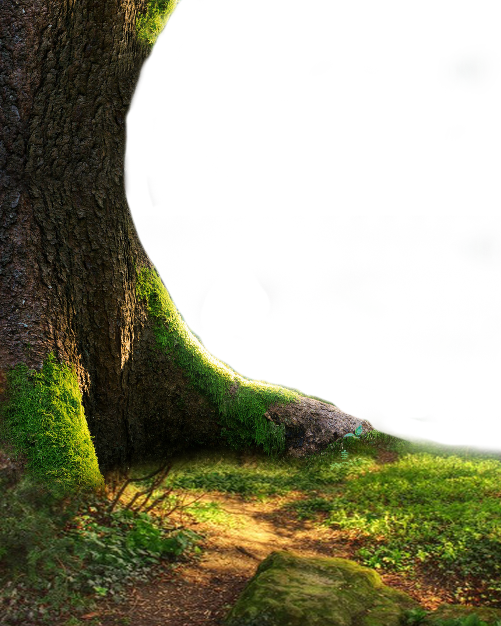 Deviantart, Tree Trunks, Entourage, Photoshop - Tree Png Images Hd (1024x1280), Png Download