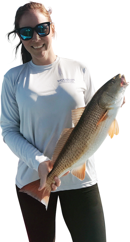 Fishing & Charter Packages View Packages & Rates » - Pull Fish Out Of Water (544x1007), Png Download