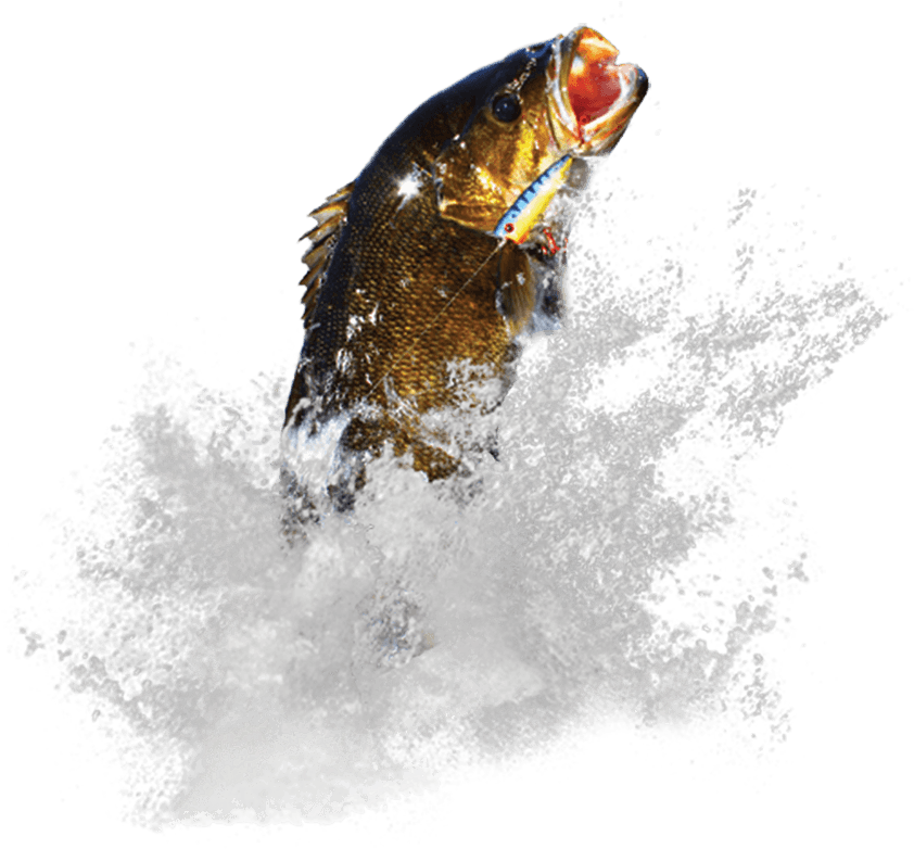 Exit 28 Off Rt - Coastal Cutthroat Trout (851x783), Png Download