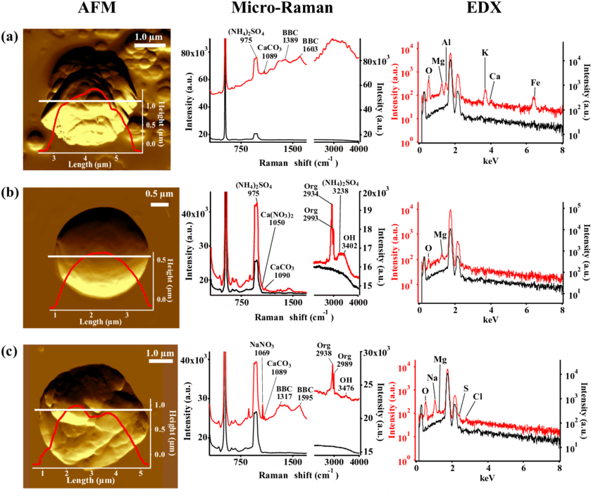 Afm Topographic Images Of Representative In Active - Diagram (850x721), Png Download