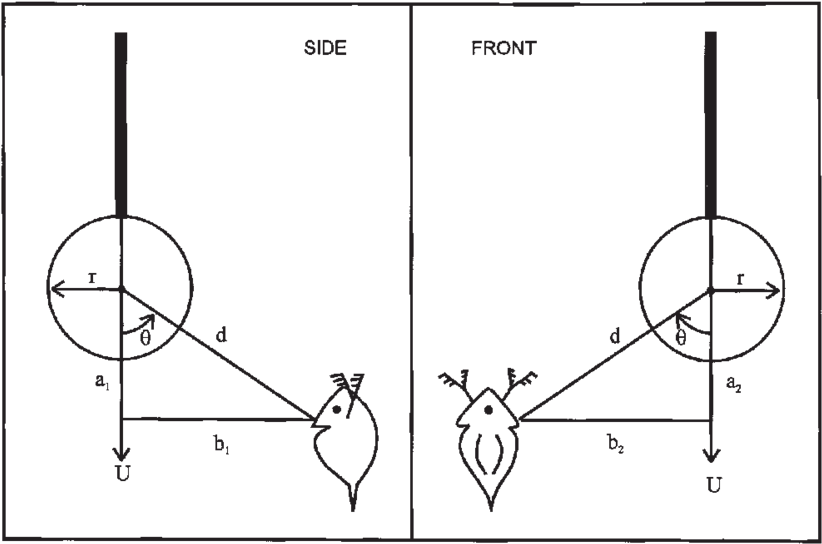 Coordinate System Used In The Calculation Of Escape - Diagram (850x566), Png Download