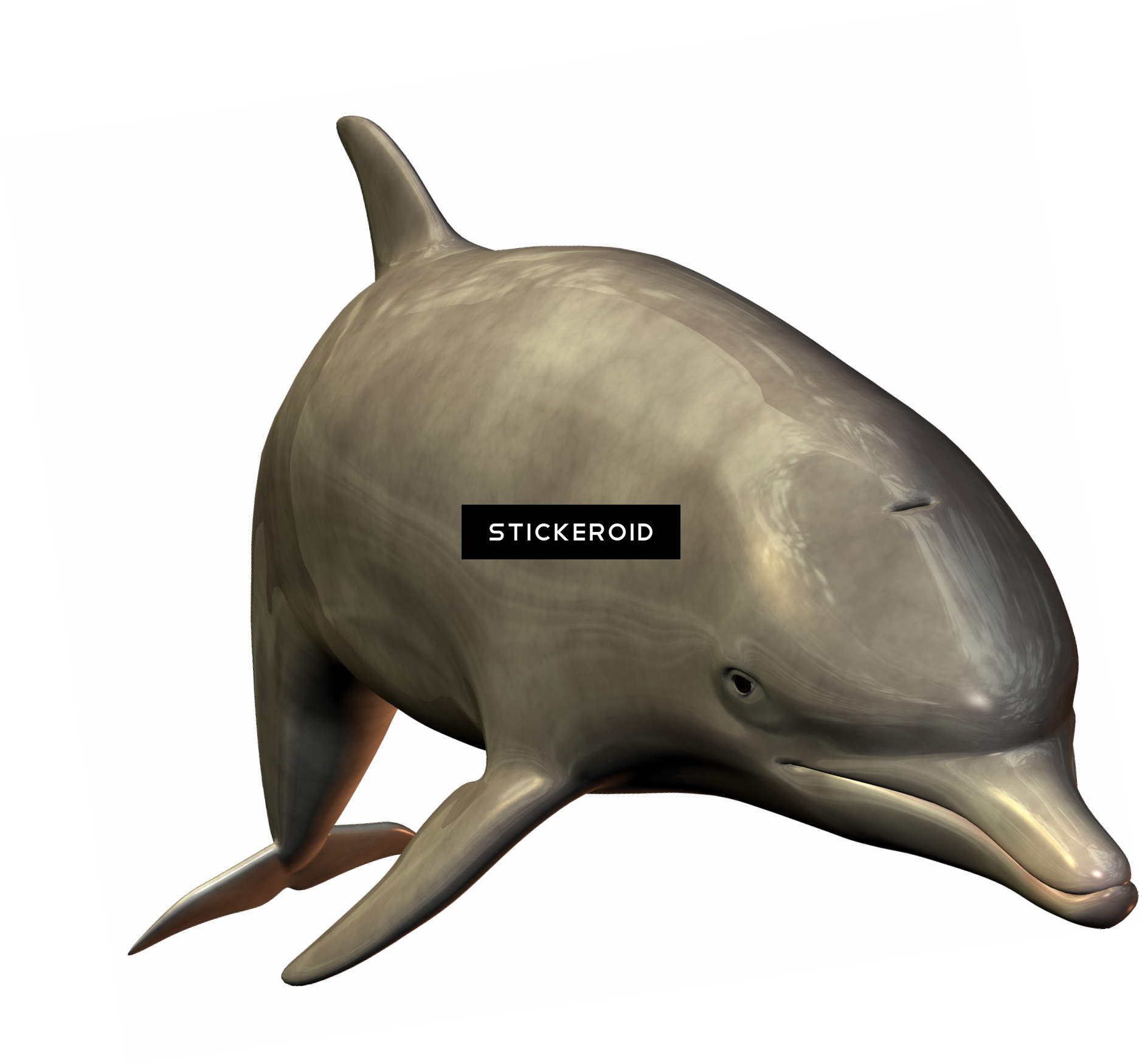 Dolphin (1878x1750), Png Download