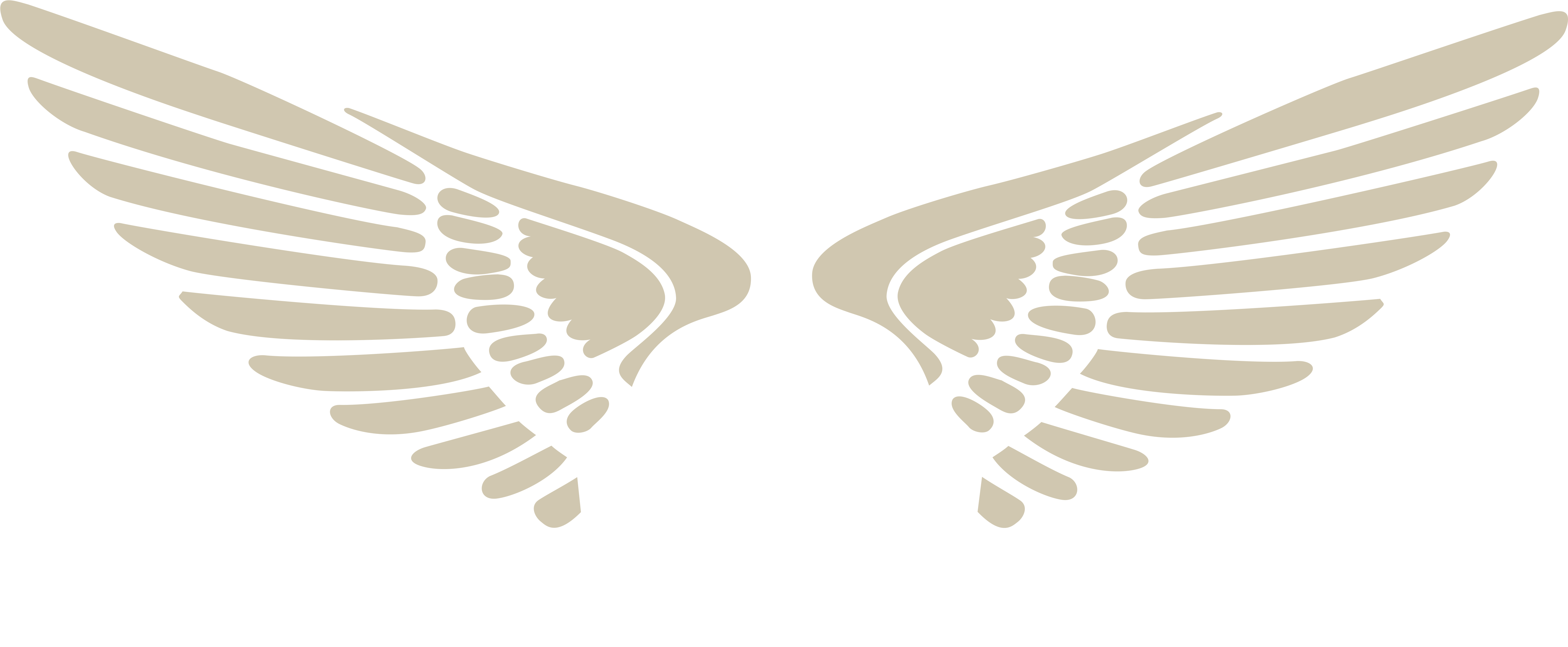 Voodoo Hockey Wings & Devil Inverse - Shield With Wings Designs (5570x2319), Png Download