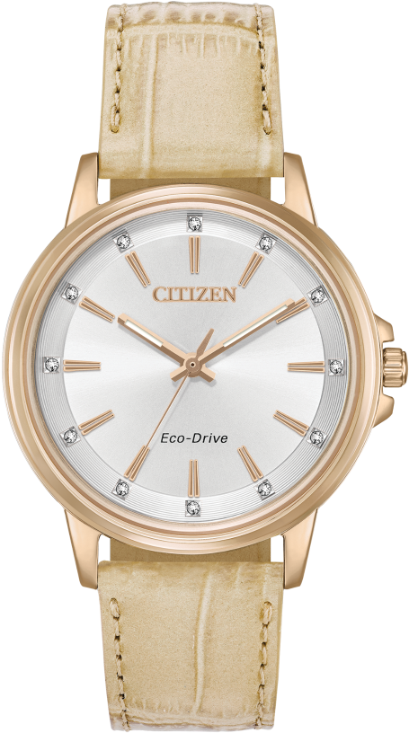 Citizen Chandler Gold Leather Ladies Watch - Shinola Orange Rubber Strap (480x868), Png Download