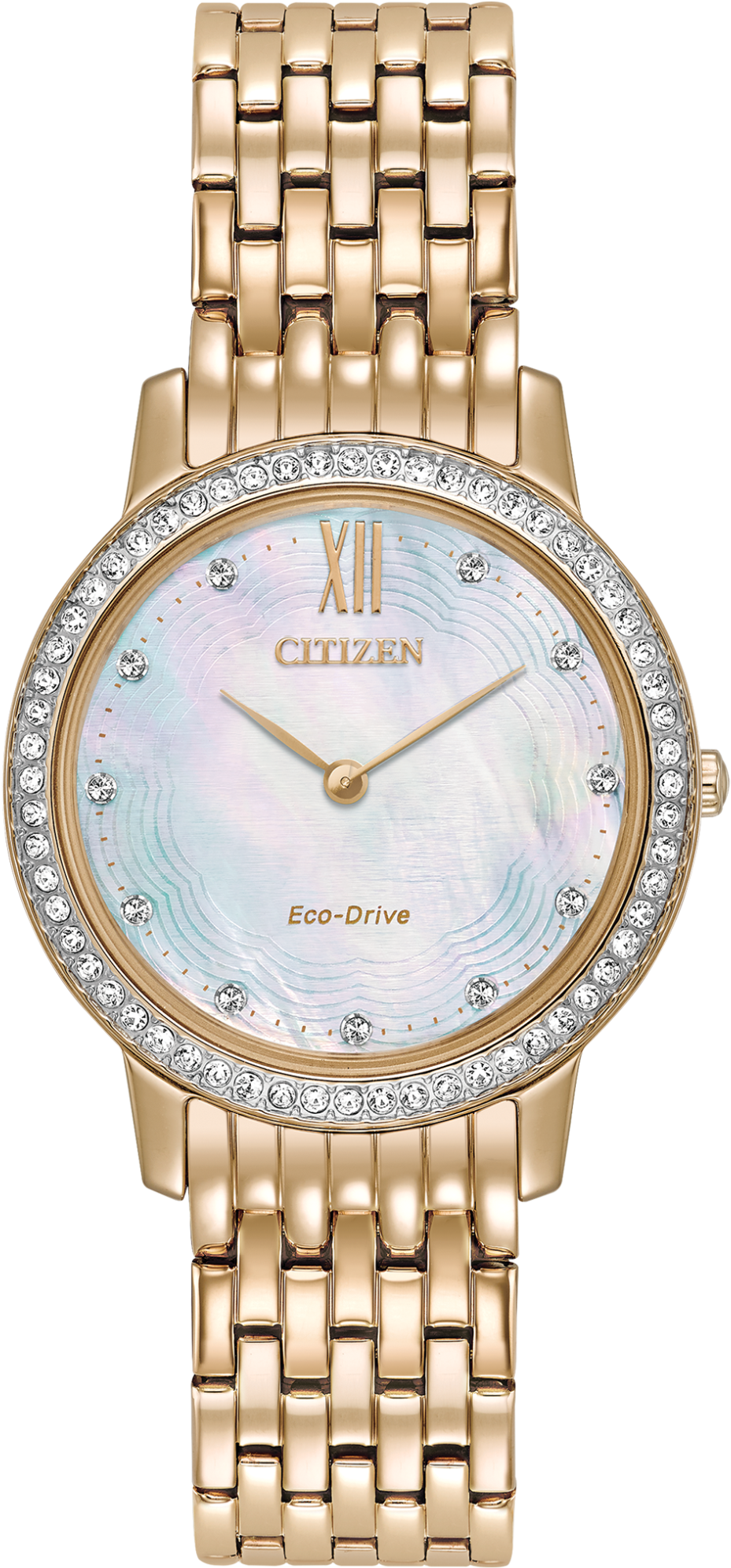 Images - Citizen Eco Drive Ladies Watch (1000x2014), Png Download